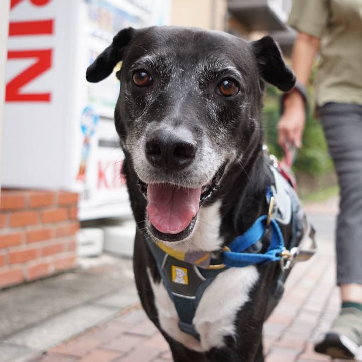 86ea7d60 f9d1 4e9a 8b47 dffdf5b1bc0c 1758239293948