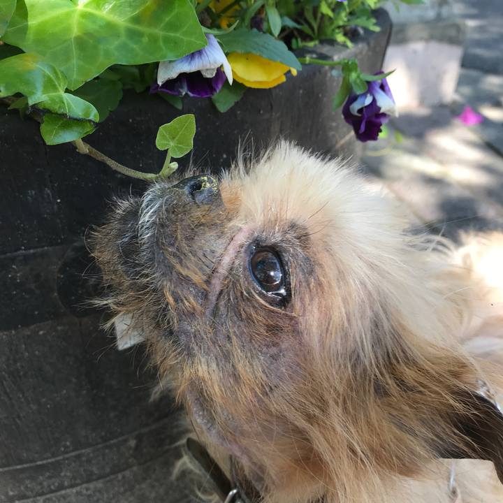 86ea94d6 e897 4ab3 afd3 d6a95a2affaf 1525395007300