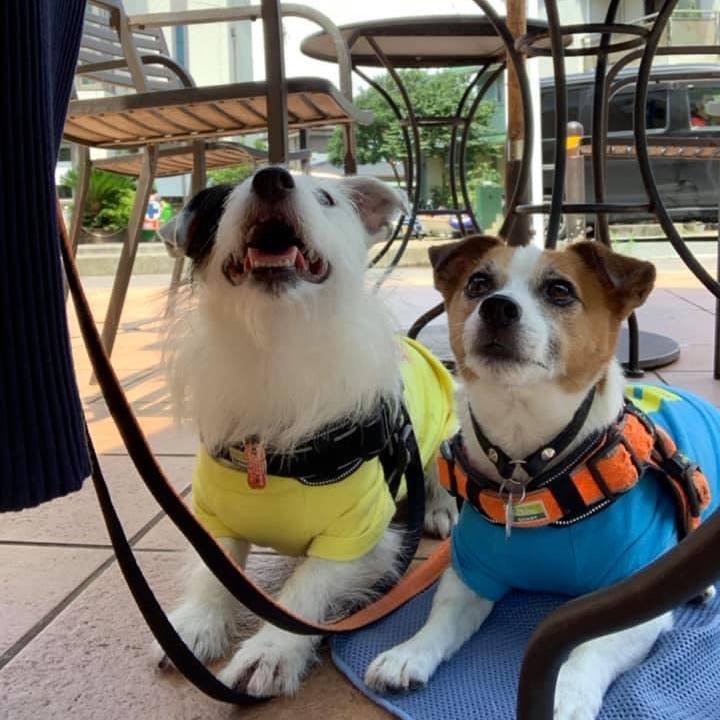 86ea9b1c 7cca 41ff b219 a60677889a84 1658800362074