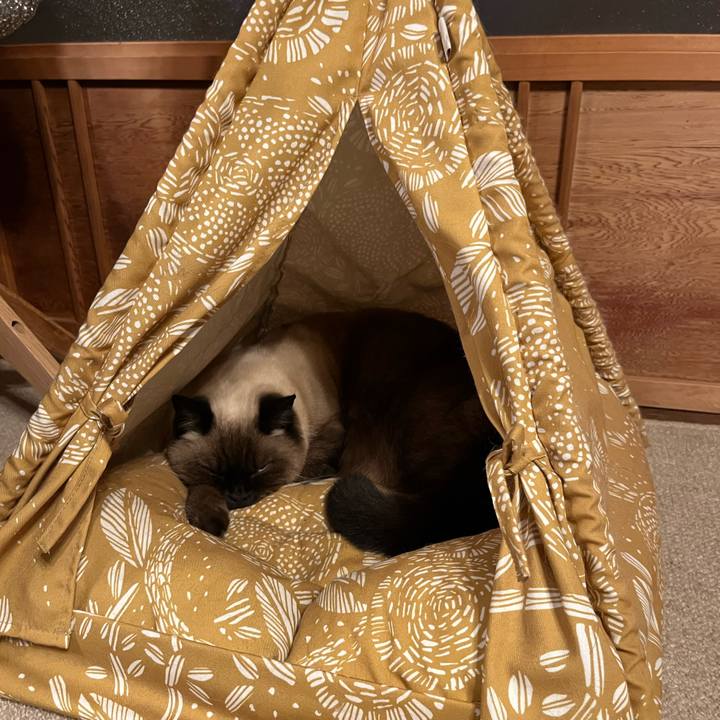 86eac140 36b7 4d34 8595 02154f1aa53b 1638969771963