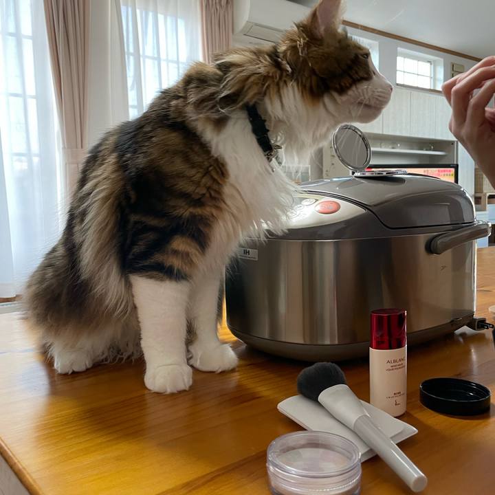 86eadc86 f381 4be8 a316 fa9c4121293b 1648763255175