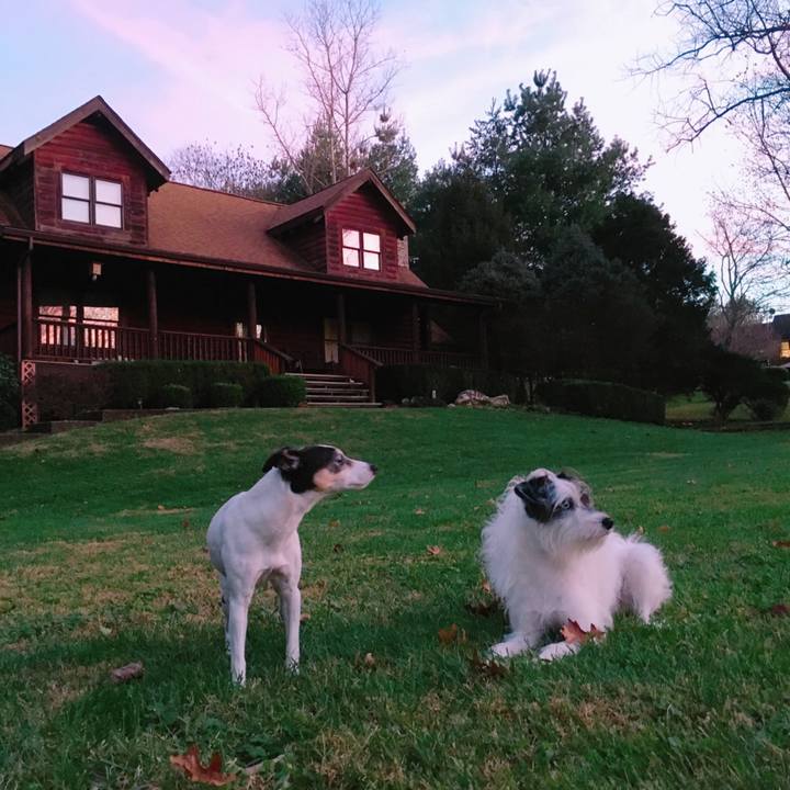 86eb396c eb4c 428a ac3f 324f0ff8590e 1511219242527