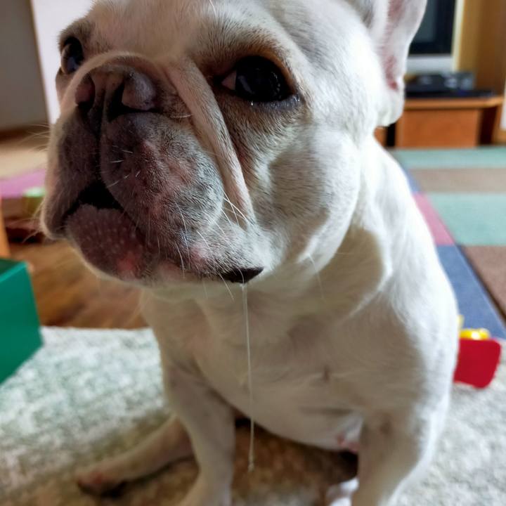 86eb4e16 fb67 46fc bebe adbe96688105 1661775396208