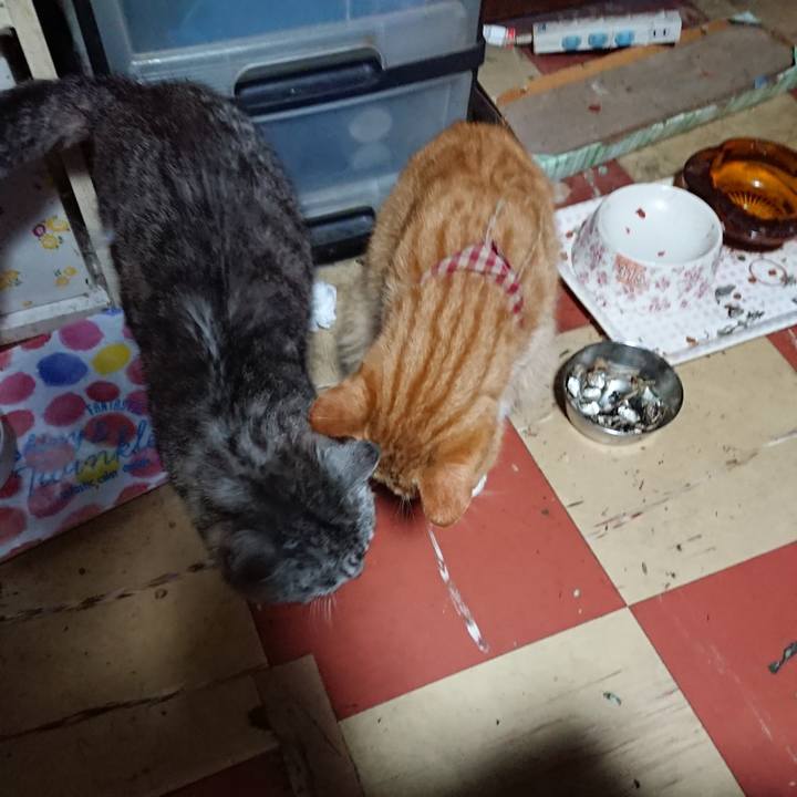 86eb719c a869 4a39 ad0c 0552a73e0955 1566763365371