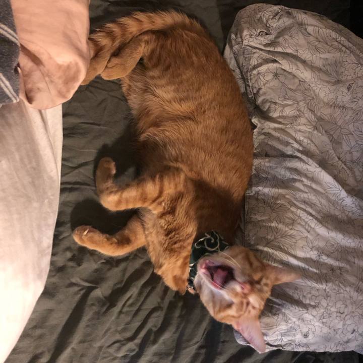 86eb9902 bfc8 4f09 8f0a aa3ab33f33f8 1628928746882