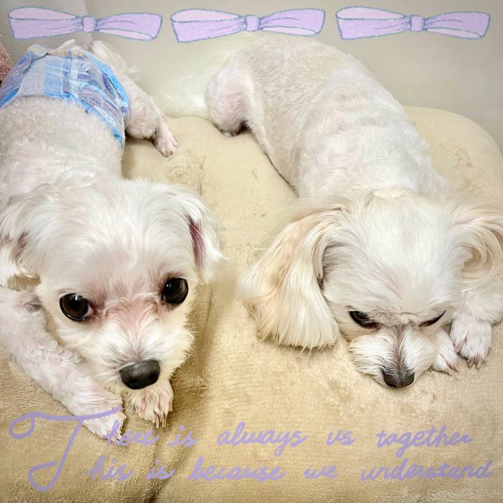 86eba8b0 d41b 4beb b949 c62868f08ffe 1631240610810