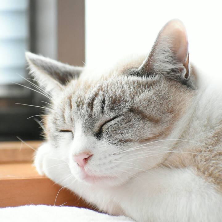 86ebc6a7 cc99 4050 bdff fd6c63654e37 1508292853122