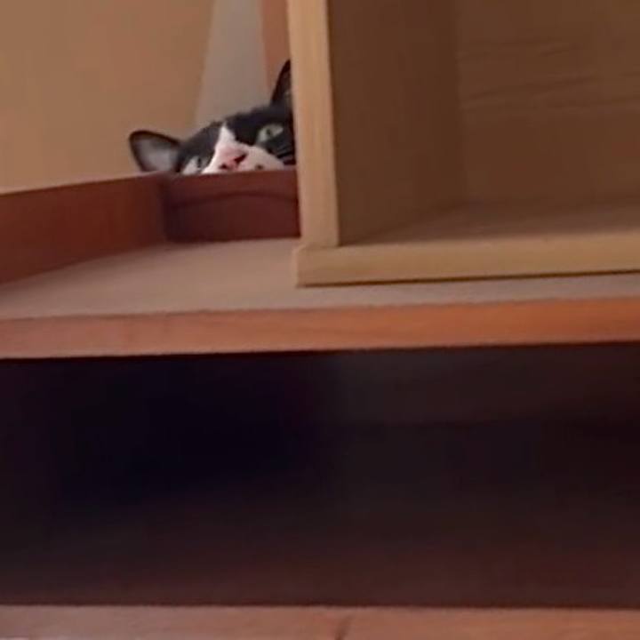 86ebe6a9 5f73 4afb bdb6 d0c60b100a8f 1761797277920