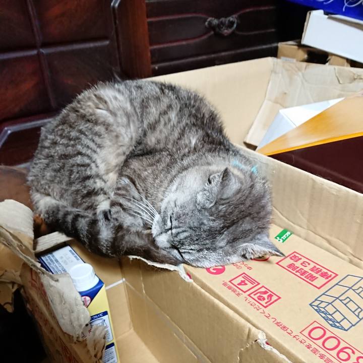 86ebf997 e129 47c4 98cb f0bf8453d652 1567511722823