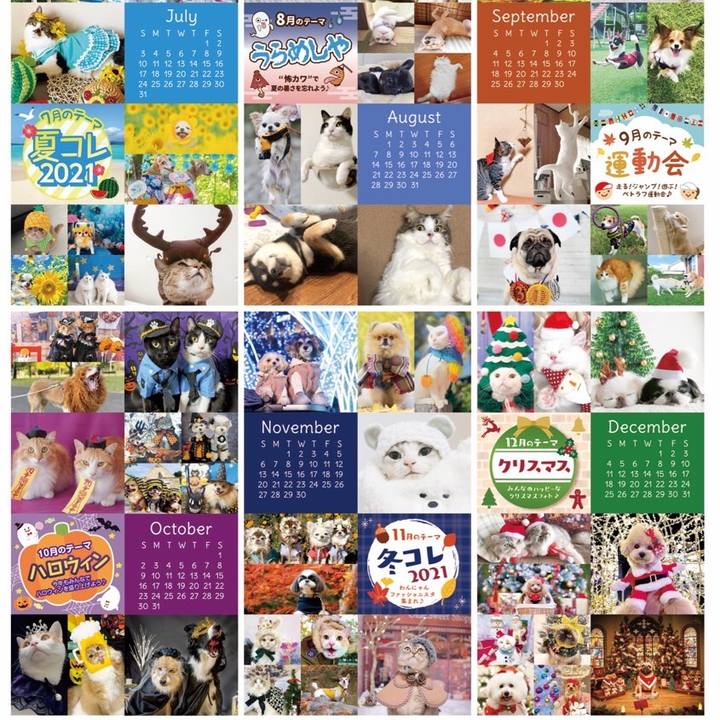 86ebfff0 16e6 4895 9bfd c3907de56916 1641256105664