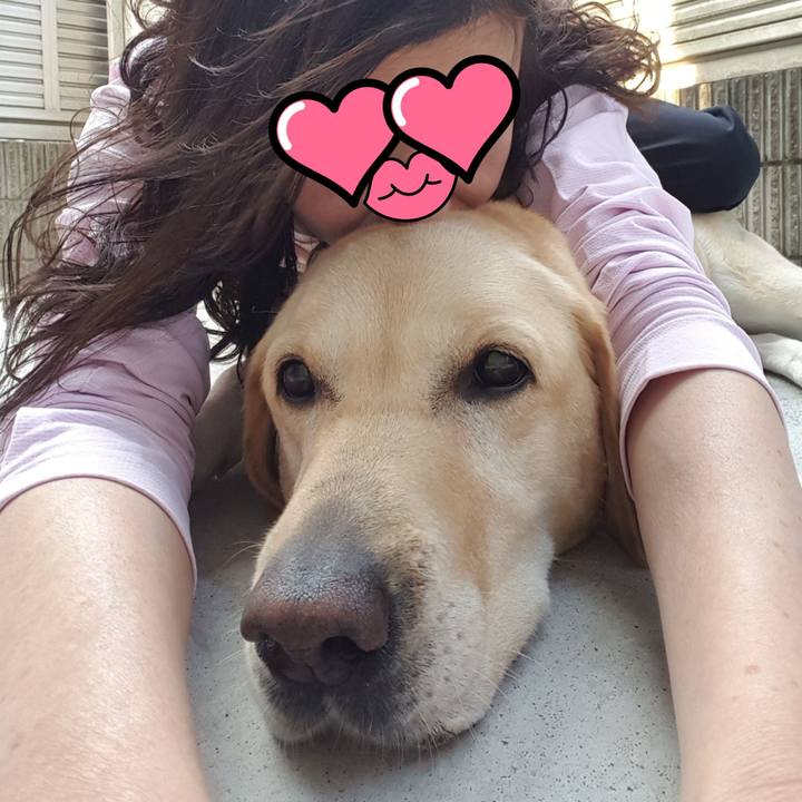 86ec6794 8b3a 45d4 8fd8 ccefa0665f5b 1560309778098