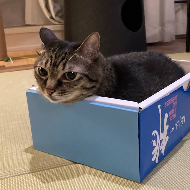 86ec721c cb70 40d2 a9bd c960720c27a8 1725623621170