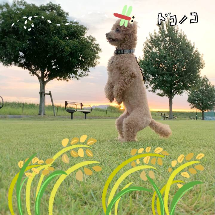 86ecab47 3c50 4c25 ad2b be3a7caac05f 1761305770847