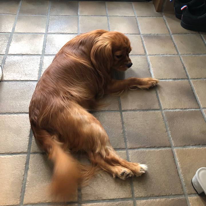 86ecd3ab 4114 41df b747 91776d4c6fe3 1564786885052