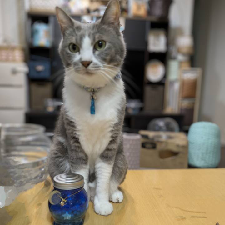 86ece323 8487 4a4b 91b7 f680b4b54414 1758616820169