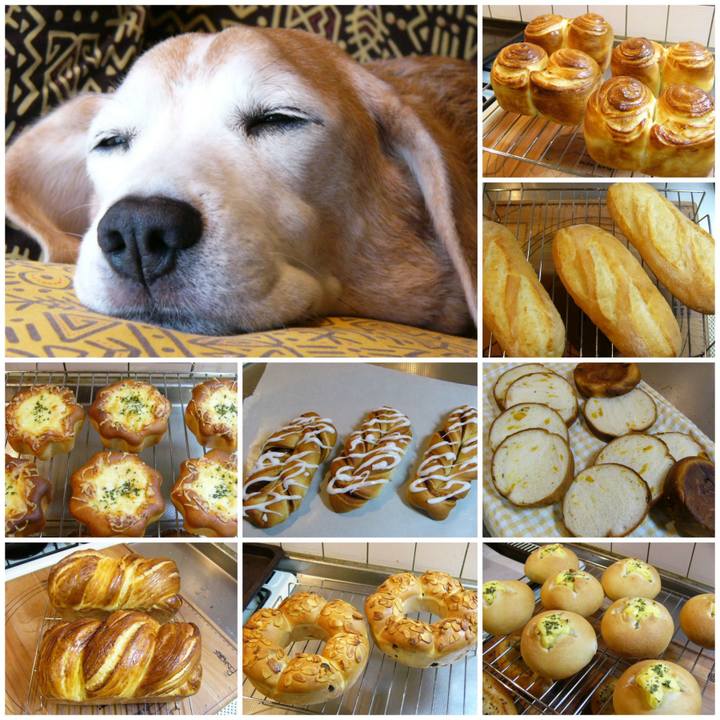 86ed2f5f 4c4d 48a8 9fbc 8105e0edfa01 1669162281136