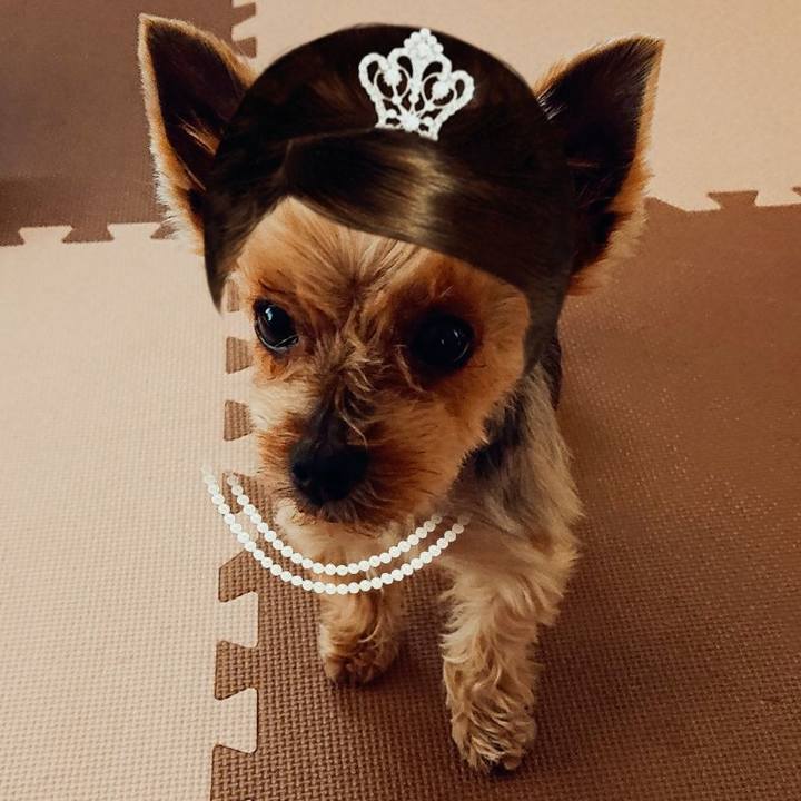 86ed6cf4 3d49 4b7f afff a17faed33973 1559710530413