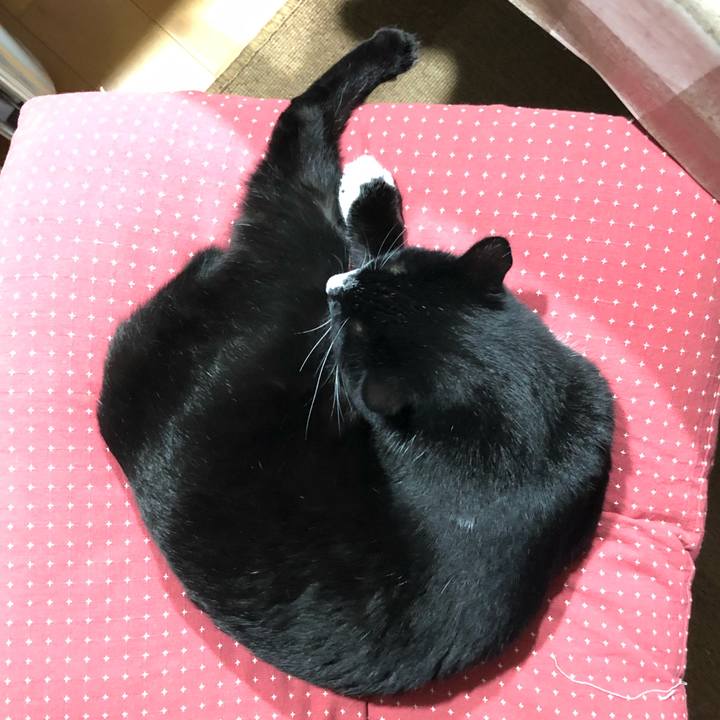 86ed8e16 cbe0 4bb2 ada8 5505c429e638 1581997640025