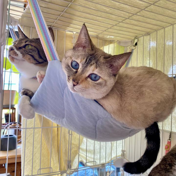 86edc384 a524 490e 930f ae05c3c5f5e6 1747203637642