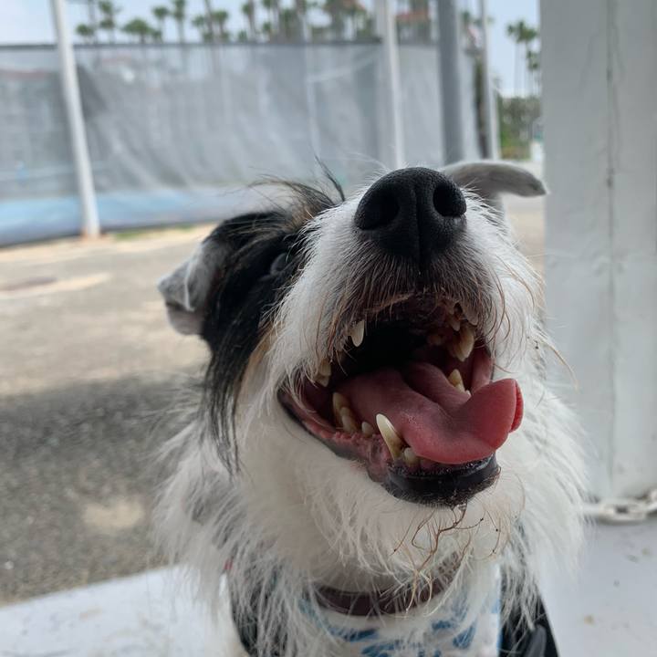 86ee5ef4 f0fc 4f4c 91b7 c17a7ca339b6 1687568886601