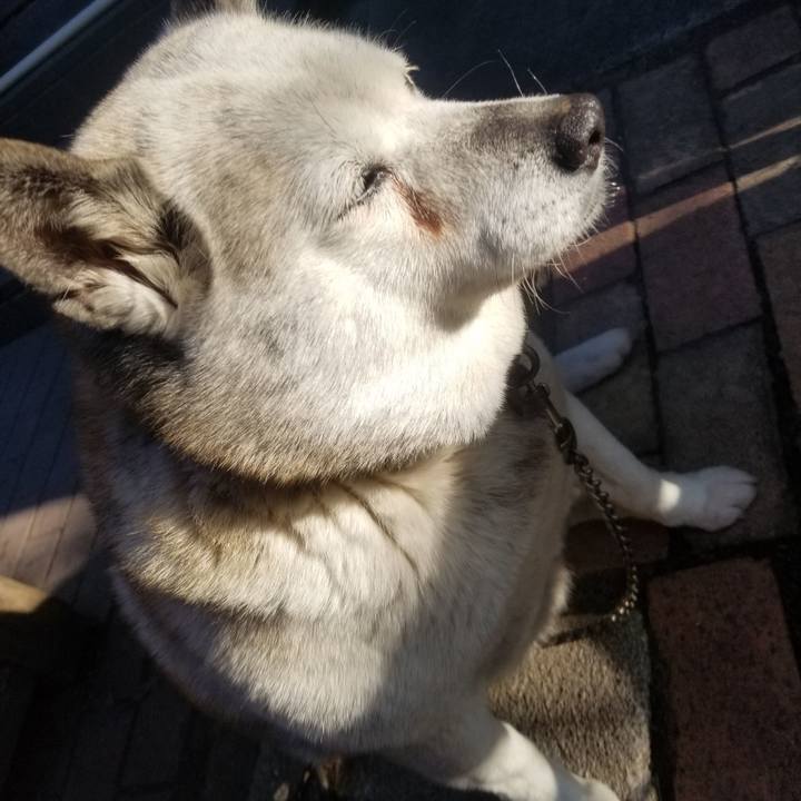 86ee7d43 4ad3 4ae6 8fed f3d1786176d6 1681077867857