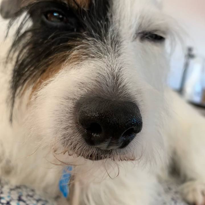 86eeb561 9c95 4c38 a164 4189e6c70b4e 1627974010313