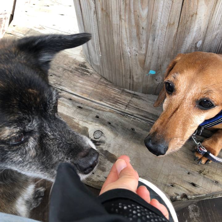 86eed1de 428d 4a5e b4a2 300dda601146 1629167598113