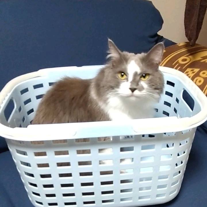 86eed74c 9118 40da a949 a7120092d44d 1632998174721