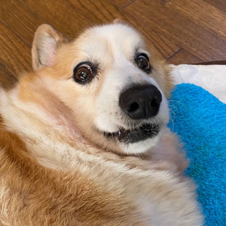 86eed80f 22df 42fb 8476 cca8031d4810 1577766239359