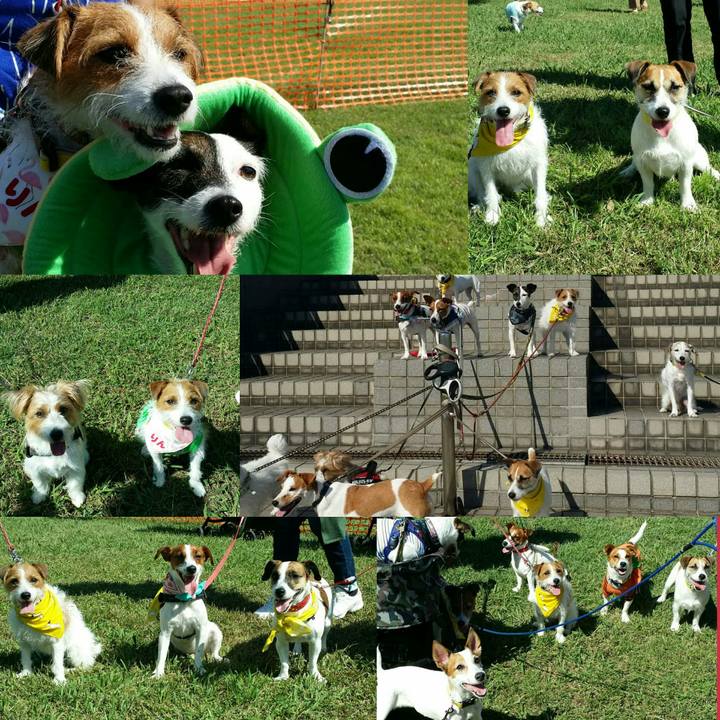 86eee1b6 6941 4ca9 8a19 6f8744416896 1538921885413