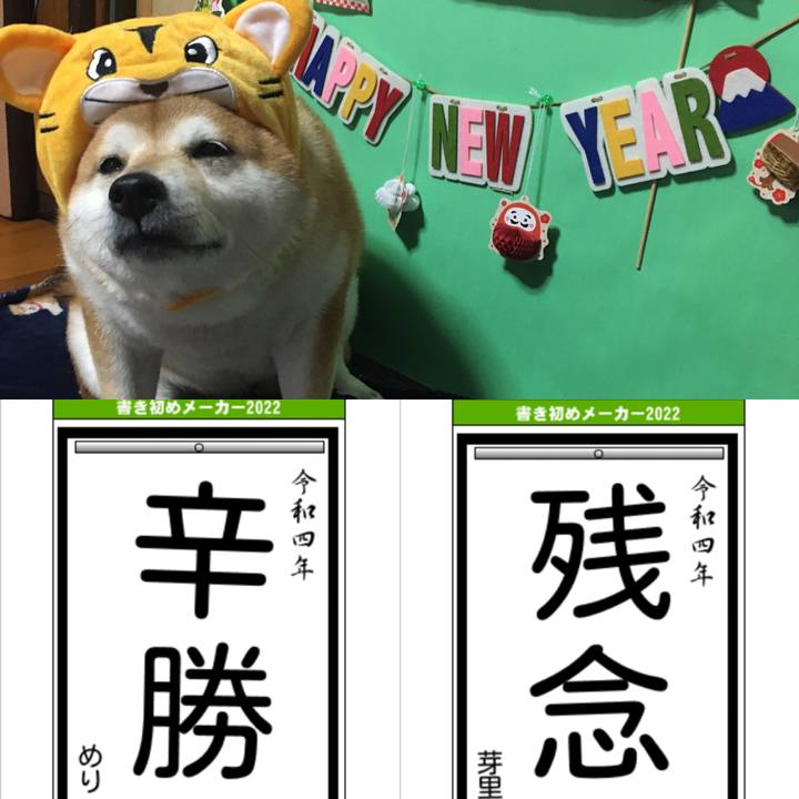 86eeff25 d621 439a a203 bfbb21874492 1641094006917