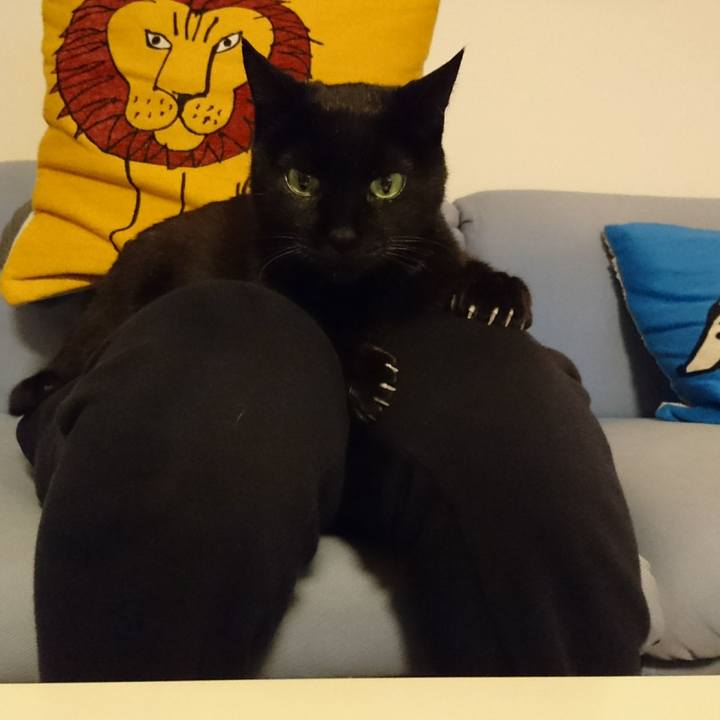 86ef00cf ab0e 4775 b73a 787baeb8d652 1515397152167