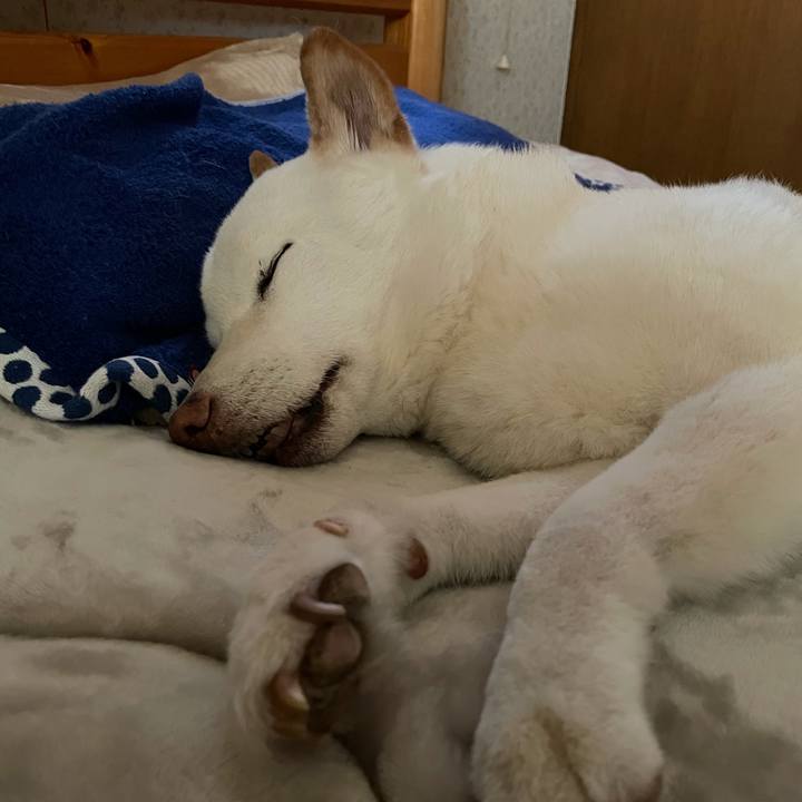 86ef1077 2a6d 455e 9ce8 12c8caa5a1c6 1636854805097