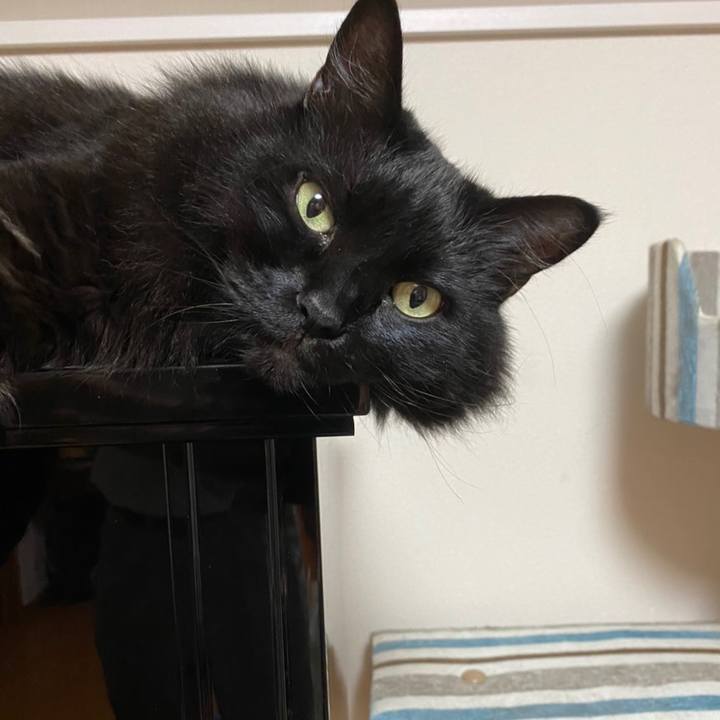 86ef3e3b 20fa 4802 be48 7c5c6896114a 1601899236917