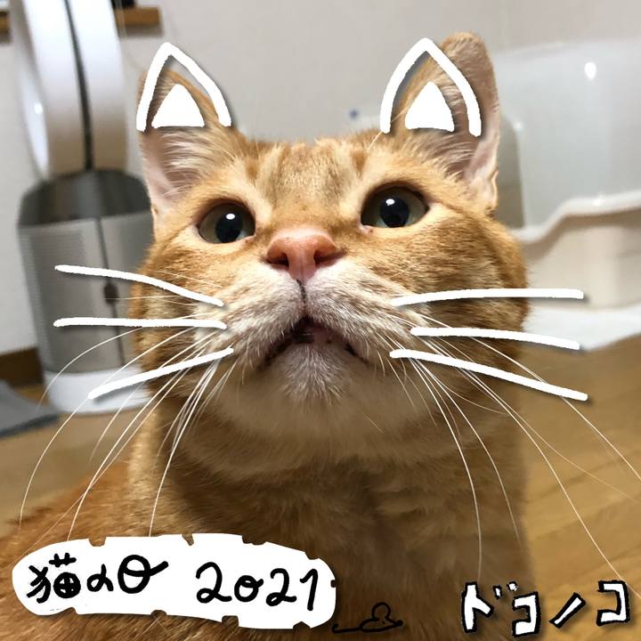 86ef4271 2c8d 4048 904f 9c53a553aac5 1613998343092