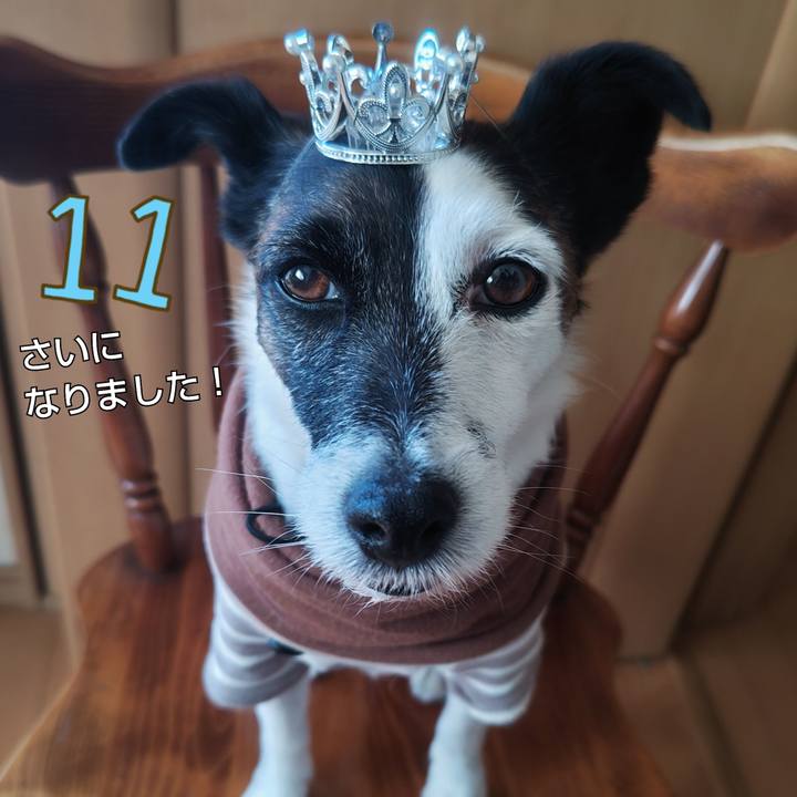 86ef7073 e04c 4bd8 8f30 e9e7e632665d 1764154620134