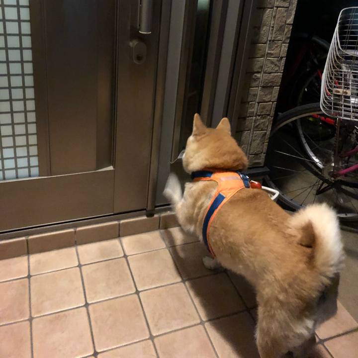 86ef86dd c391 4ab6 9cb0 367c53882886 1576299771553