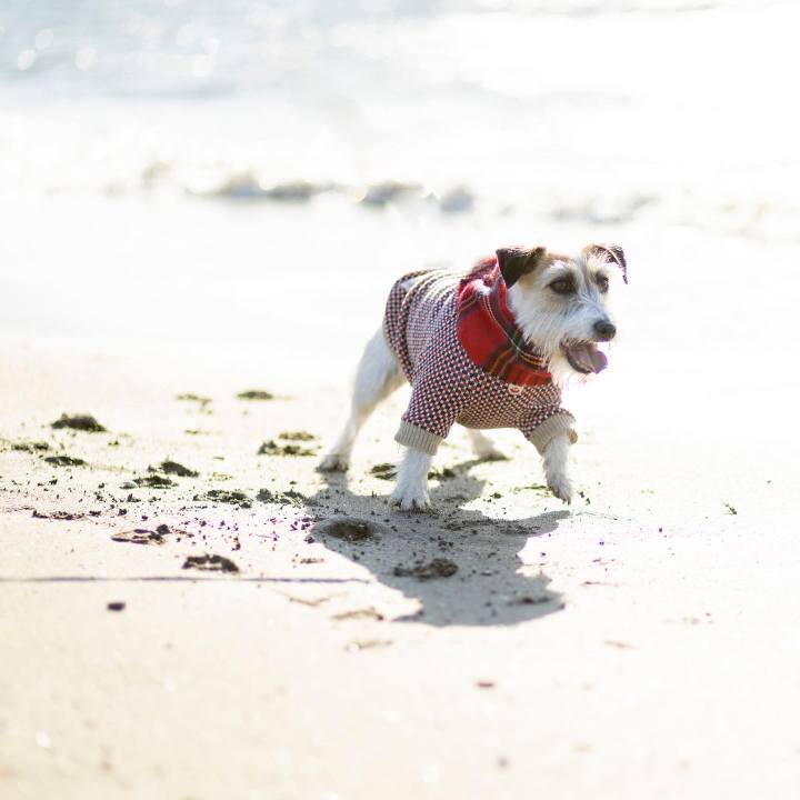 86efd3dc 72b9 4426 94f2 ff1efc4cde48 1648720572814