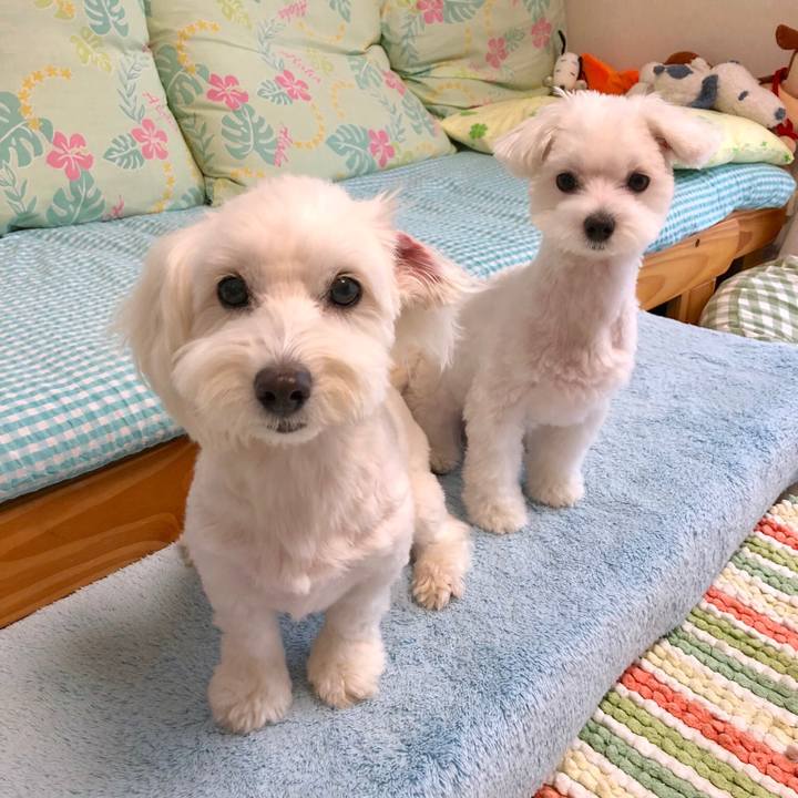 86effa6b d7ca 48e0 9fd7 8ac5c80ee0fb 1532593993640