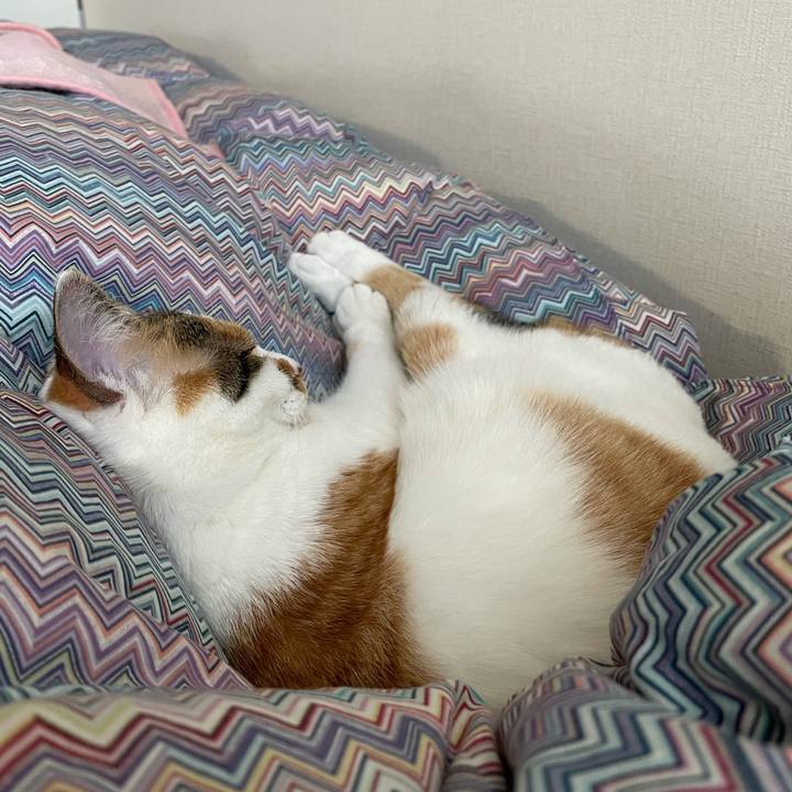 86effac0 2b86 48e7 beea 6da61a6cbcb4 1609722439008