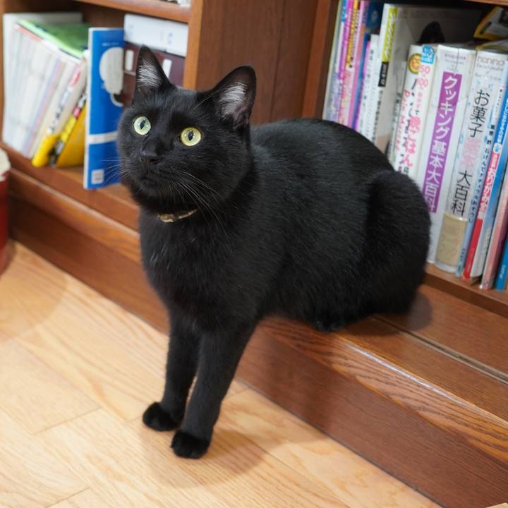 86f00e9c 0bde 4feb 8a8d 0cd0e23519a8 1593178343817