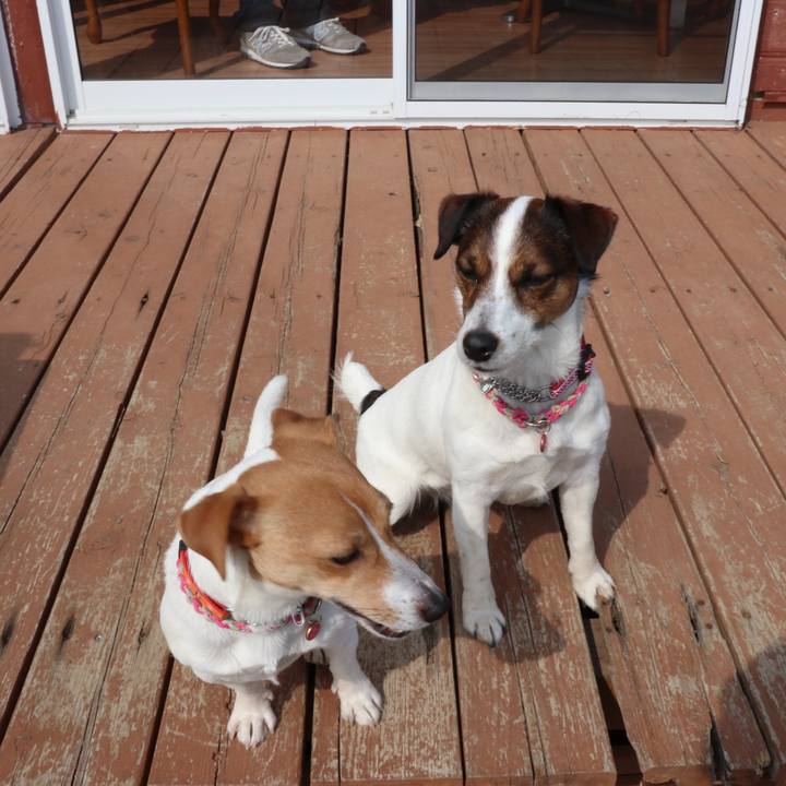 86f01275 c11b 482a a8b3 fb9baba7e4de 1519539788458