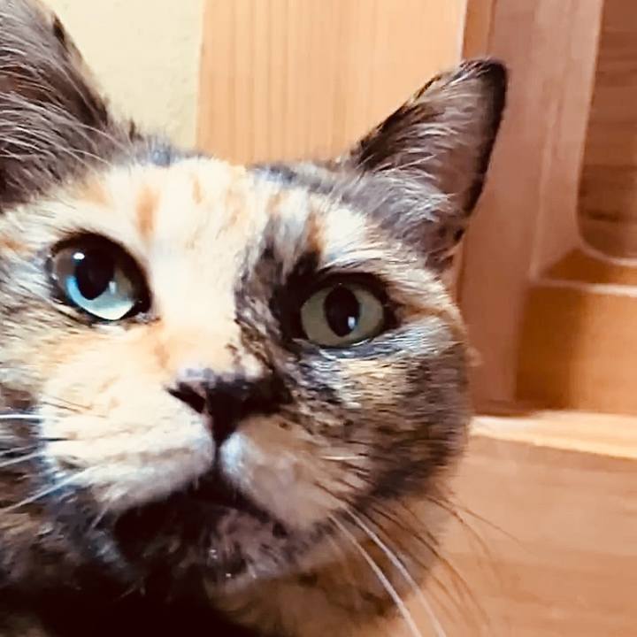 86f02034 73a2 49d4 96fa 853d272f4f10 1737167968437