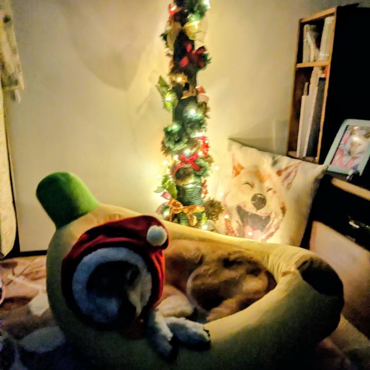 86f03ebe 20bc 4444 a990 c87e6f6efc72 1764684458007