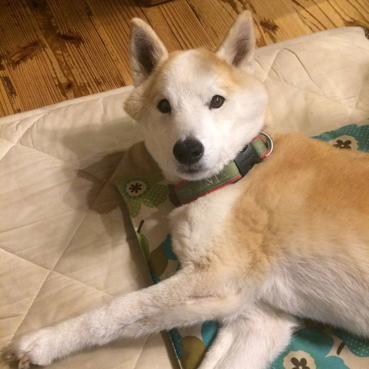 86f0c7be 774f 4b28 9e58 3fcb96dfd729 1562680767495