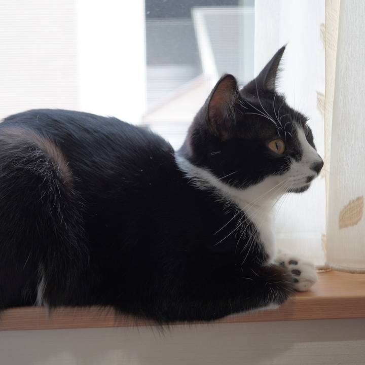 86f0d237 3fee 46df bab0 0ee304a83f6b 1603340835618