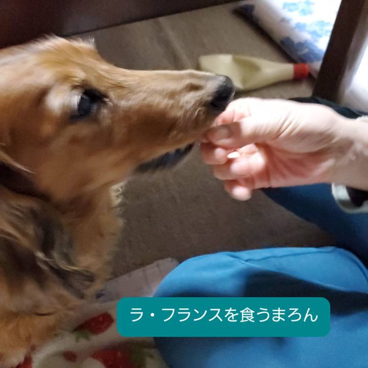 86f0d832 3650 4f57 b0a0 a1bbfa27a952 1605440178732