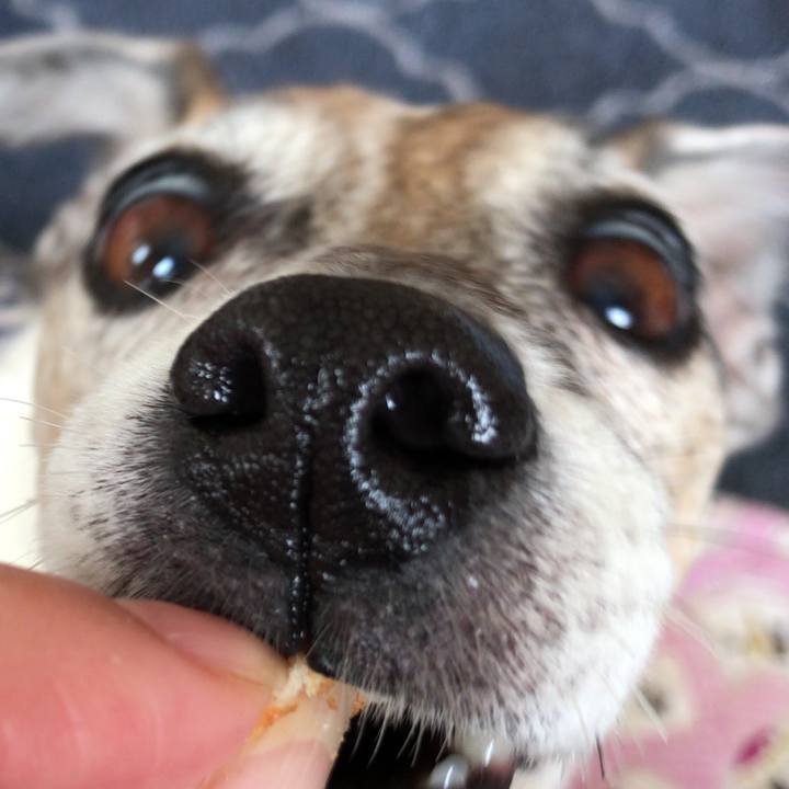 86f0e152 5b6f 4d21 9ae9 c9cb1a60f85e 1523499790454