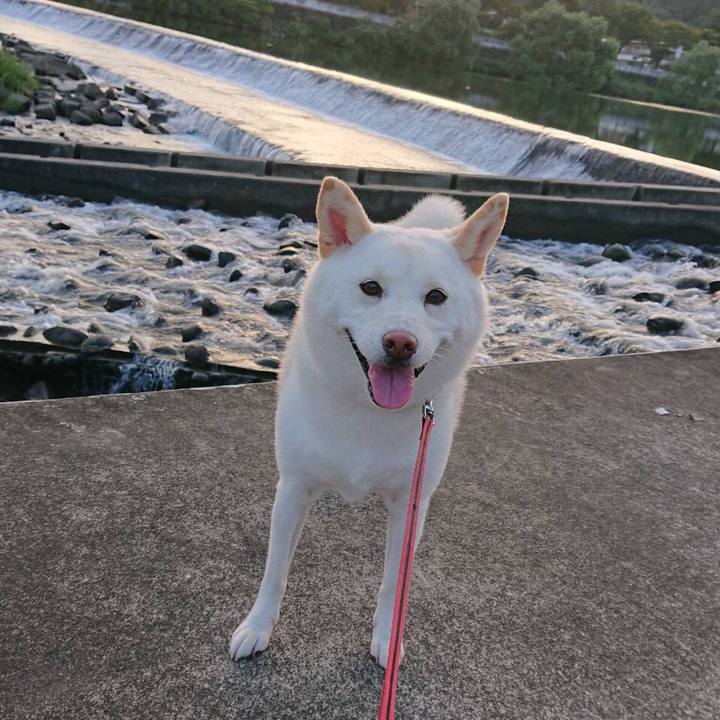 86f0e8c6 ff7d 4da1 a9b3 b78497436703 1567255609654