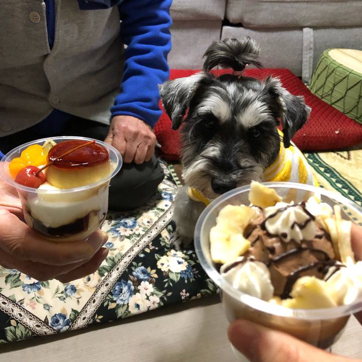 86f10e58 9c34 49cb 8aa4 bb7d6469d649 1641305085968